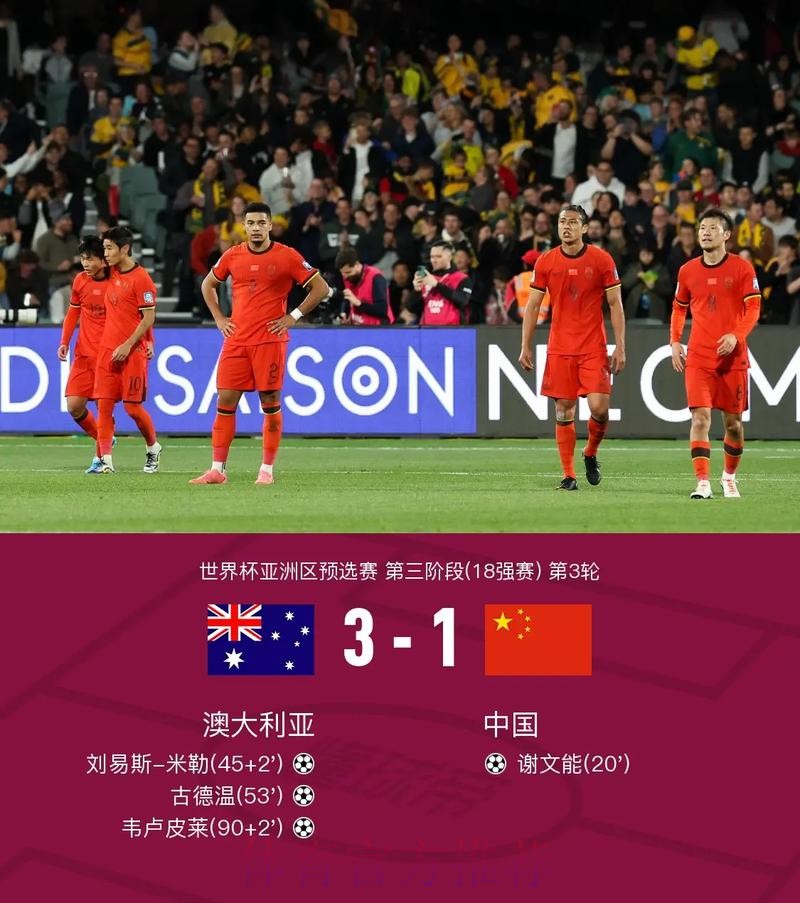 世界杯比分软件官方